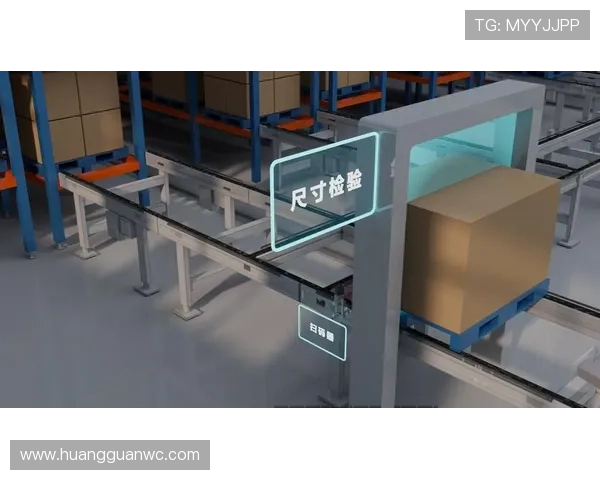 穆西亚拉终结效率的稳定性分析与提升空间